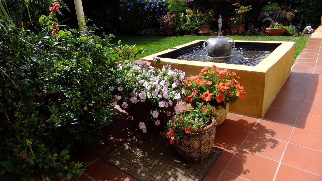 Beau & I Bed and Breakfast Graaff-Reinet Exteriör bild